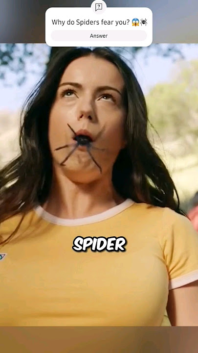 Never Touch the Spiders 😨😱 [Movie Recap] #shorts #viral #movies