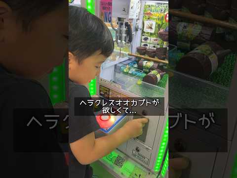 UFOキャッチャーに挑戦したら Ufoキャッチャー クレーンゲーム ヘラクレスオオカブト