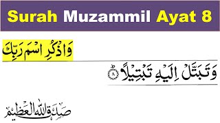 Surah Muzammil Ayat 8 | surah muzammil ayat 8 |surah muzammil ayat number 8|surah muzammil ayat no 8