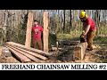 Freehand Chainsaw Milling #2