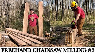 Freehand Chainsaw Milling #2