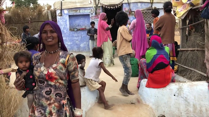 Jamming with the Cobra Gypsies in Pushkar, India