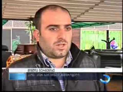 აჭარა კვლავ სტიქიის ზონად რჩება