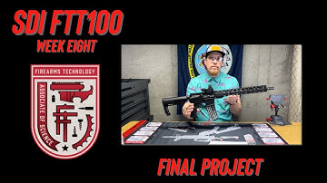 SDI | FTT100 Week 8, Final Project