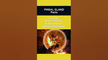 The Amazing Pineal Gland! | Your Powerful Brain | Did you know this? let me know in the comments 👉