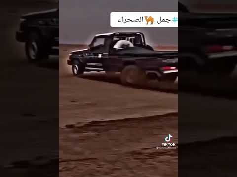 شاص الصحراء الجنوبية ترحب بكم 