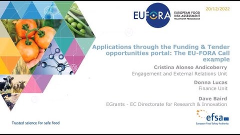 Applications through the Funding & Tender opportunities portal: The EU-FORA Call example