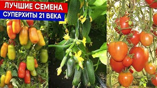 Лучшие семена - суперхиты 21 века