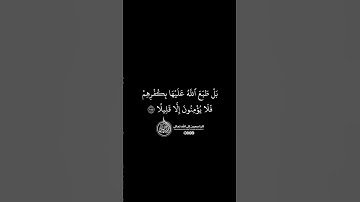 ماهر المعيقلي - سورة النساء ( برواية حفص عن عاصم ) الأية 155