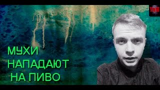 МУХИ НАПАДАЮТ НА ПИВО +18