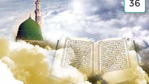 سورة الاخلاص   100 مئة مرة مكررة   الشيخ هزاع البلوشي