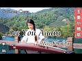 Wiz Khalifa - See You Again | 古筝 Guzheng Cover | 玉面小嫣然