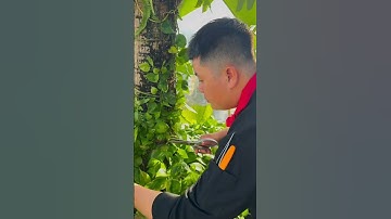 Đi làm #chicken #food #saigon #chicken #restaurant