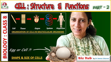 Cell Structure & Functions  : Part 2 Chapter -8  Class 8 Science
