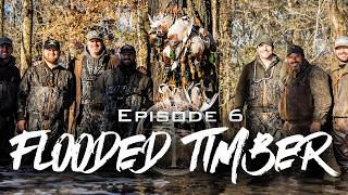 Duck Hunting- Epic Hunt in The Tennessee Hole!
