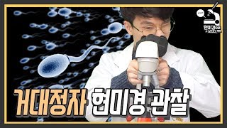 정자를 현미경으로 보다가 발견한 것! [미나니가 현미경으로 보았다]
