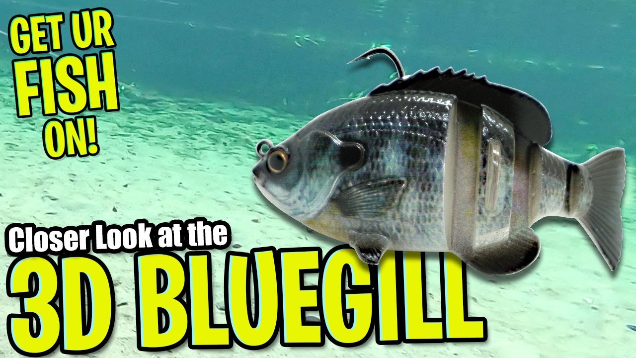 Closer Look at the Savage Gear 3D Bluegill - Bass Fishing Swim