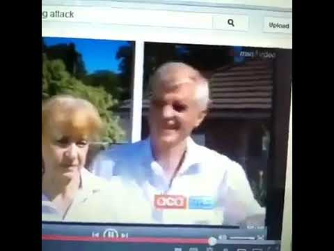 Guy Imitating Dog Attack VINE