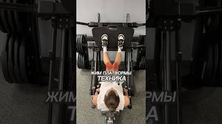 🔥ИДЕАЛЬНАЯ ТЕХНИКА ЖИМА ПЛАТФОРМЫ! #фитнес #bodybuilding
