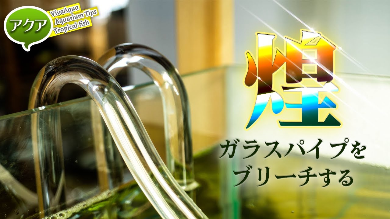 Aquarium] Stunning Clarity and Elegant Curves!! ADA Lily Pipe