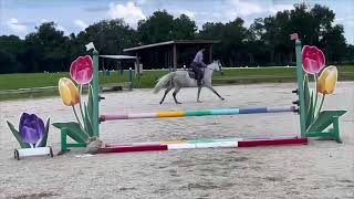 "ACROSS STATE LINES" CAN BE SEEN AT WWW.HORSEZIP.COM ONLINE HORSE AUCTION