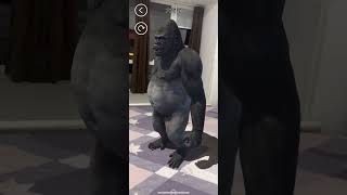 Unity AR Foundation Template - AR Animals - Downloadable