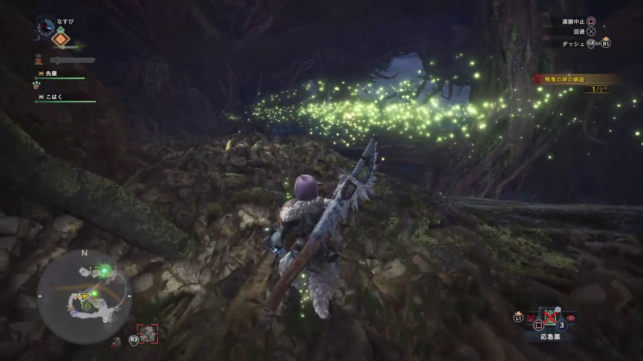 Mhw 効率的飛竜の卵運搬 森 Efficient Wyvern Eggs Delivery Ancient Forest Youtube