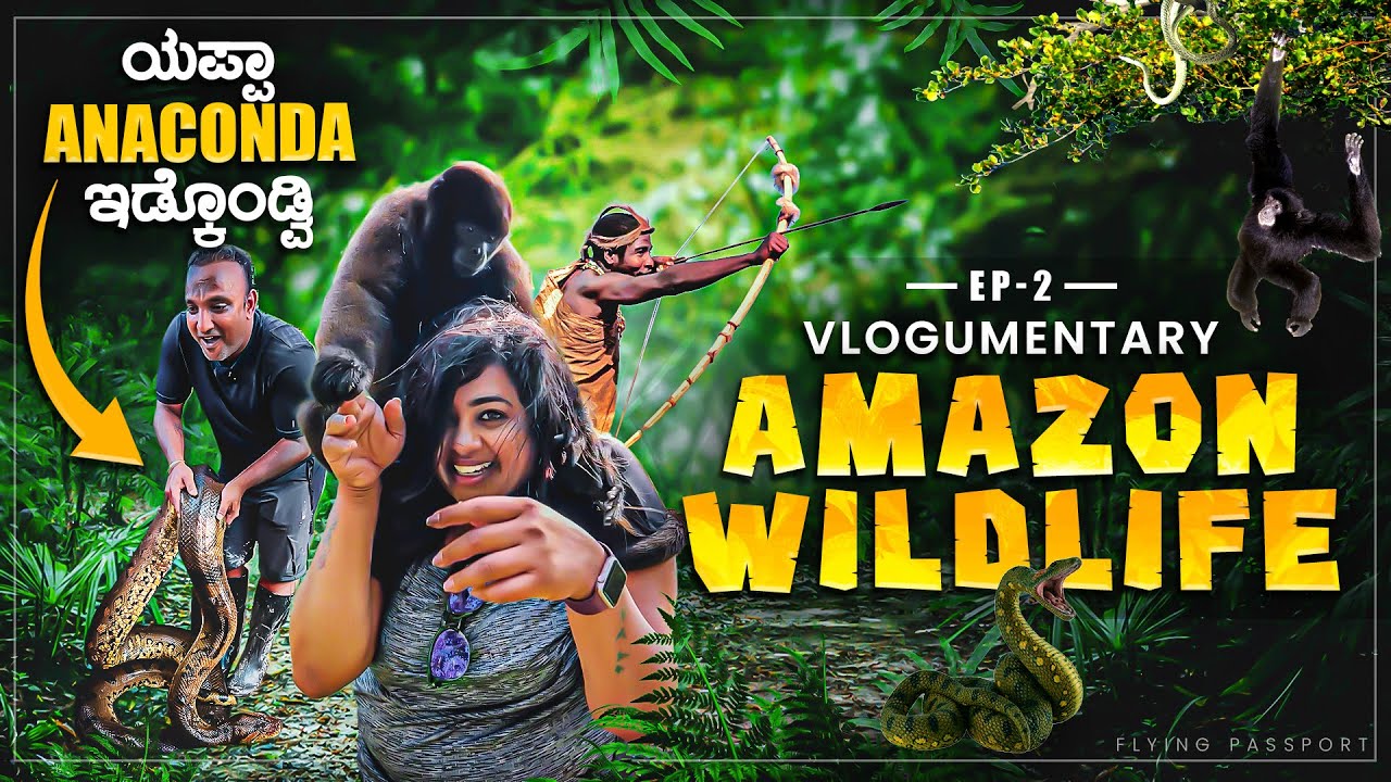 ಧ್ಯರ್ಯ ಮಾಡಿ ಅನಕೊಂಡ 🐍 ಇಡ್ಕೊಂಡ್ವಿ | ಅಮೆಜಾನ್ ಕಾಡಿನ ವಿಶಿಷ್ಟ ಪ್ರಾಣಿಗಳು | Amazon EP 2 | Flying Passport