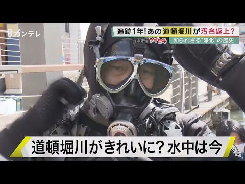 追跡1年！"あの" 道頓堀川に潜ってみたら水が激変していた　「清流の女王」の姿を追う【「報道ランナー」】  