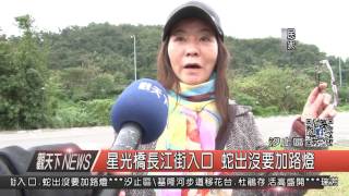 1060315觀天下新聞HD05 汐止區星光橋長江街入口 蛇出沒要加路燈