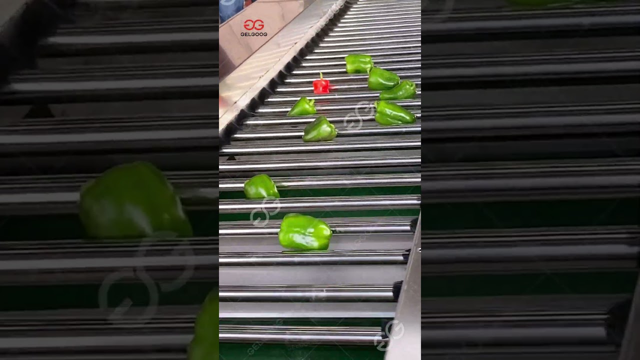 Bell Pepper/Paprika Grading Machine