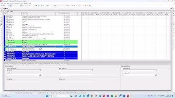 How to copy activity code from Project to another in Primavera P6