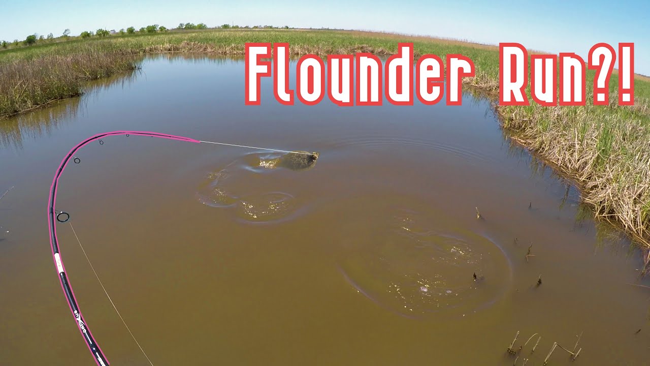 INSANE day of fishing Limits of Trout and flounder + tournament