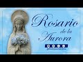 Rosario de Aurora | Santa Misa | 12 de Junio del 2021
