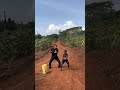 What dance is this? tiktok karinapalmira