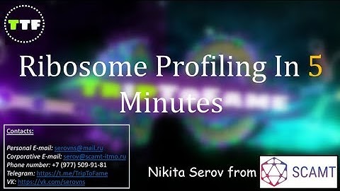 Ribosome Profiling & Translation Assays