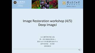 Deep ImageJ【2023 Image Restoration Workshop】part4