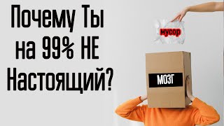 4 особенности развития мозга человека из-за которых жизнь не складывается. Почему в жизни все плохо?