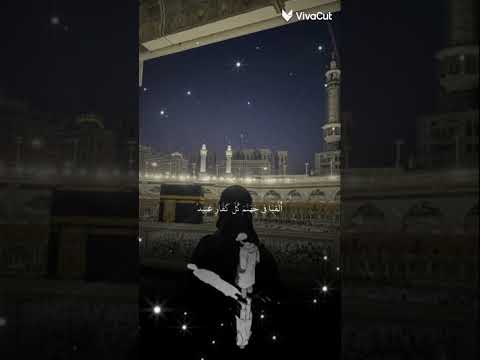 و ق ال ق ر ين ه ه ذا م ا ل د ي ع ت يد القرآن الكريم تلاوة ماتعة