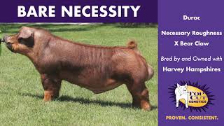 Top Cut Genetics : Bare Necessity