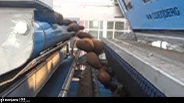 Whole unwashed potato Field Potato Sorter (FPS) - TOMRA Sorting