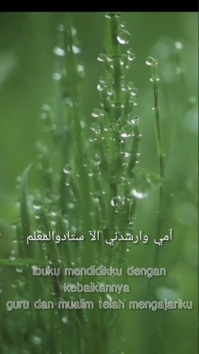 story' W A   QOD ANSHOHA#shorts