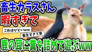 【2ch動物スレ】カラスのいたずらがエスカレートしすぎた結果がこちらwww