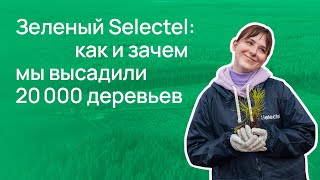 Зеленый Selectel: как и зачем мы высадили 20 000 деревьев