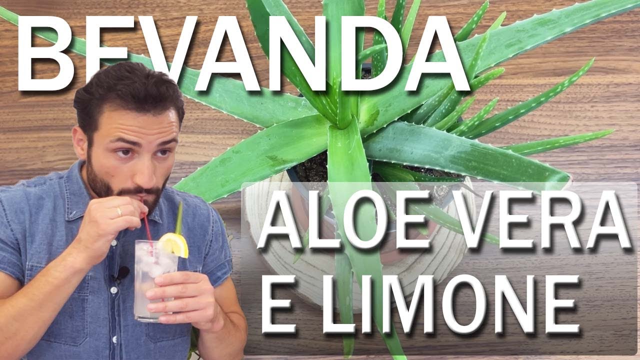 where to get aloe vera gel Aloe Vera Super Gel main image 1