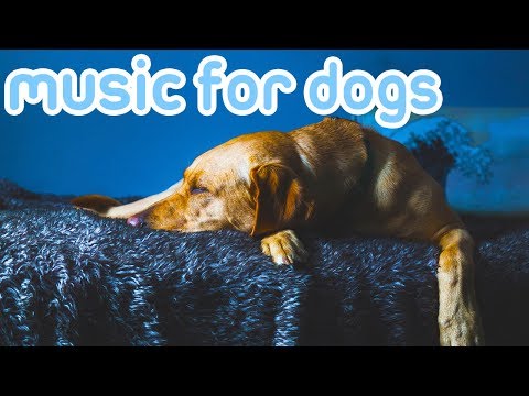 11-hours-of-deep-sleep-music-for-dogs!-pet-therapy-music-for-anxiety!