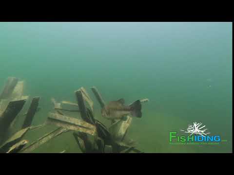 The Science Behind Fishiding Artificial Fish Habitat-Time Lapse Video (Part 6 of 10):