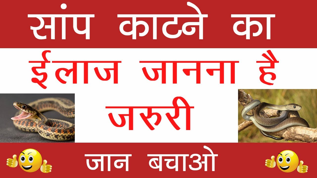  Saanp Katne Ka Ilaj Treatment Of Snake Bite In 