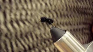 Friday Night Flies - Black Ant dry Fly