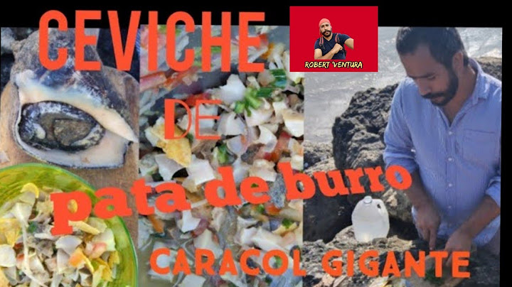 Caracoles pata de mula /gigantes nos preparamos un ceviche